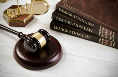 Immigration Lawyer in Delhi